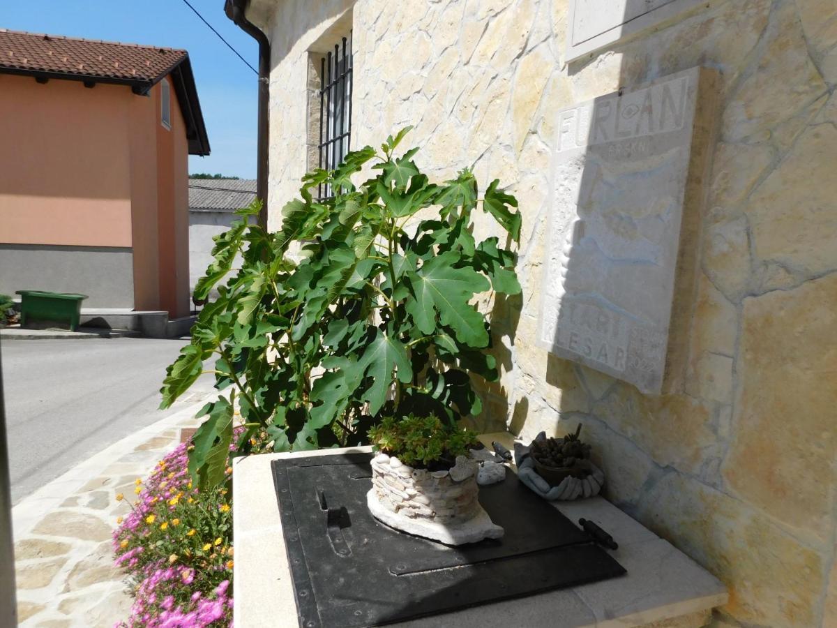 Kamnita Hisa Stari Klesar Villa Ilirska Bistrica Exterior photo